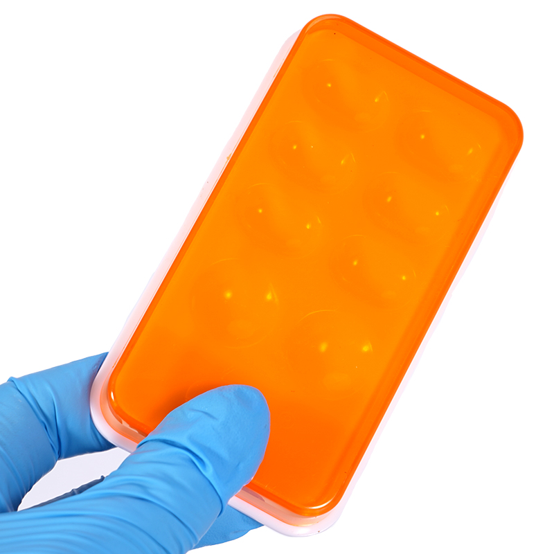 Dental Veneer Storage Box 4/8  - Teeth Whitening Veneers ulasan dan harga